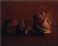 藏品(〈奇花異果，二個紅蘿蔔〉)的圖片