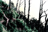 藏品(《蒼茫：歲月詩情》風景6)的圖片
