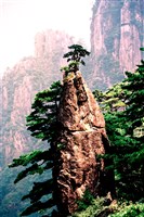 藏品(《蒼茫：歲月詩情》風景29)的圖片