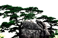 藏品(《蒼茫：歲月詩情》風景36)的圖片