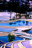 藏品(《蒼茫：歲月詩情》風景40)的圖片