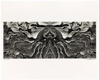 藏品(「磐古」系列04)的圖片