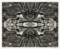 藏品(「磐古」系列05)的圖片