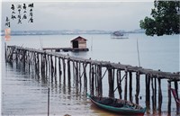 藏品(〈湖上有屋無人居 湖中有魚無人取〉)的圖片