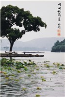 藏品(〈昨湖秋荷美〉)的圖片