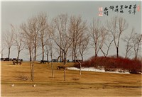 藏品(〈芳草飛雪白 寒林日影斜〉)的圖片