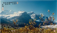 藏品(〈雪山崩蝕半邊白 拜樹迎風葉抹黃〉)的圖片