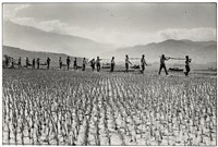 藏品(《歲月詩情》系列：〈迎嫁妝〉)的圖片