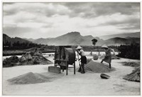 藏品(《歲月詩情》系列：〈曬穀〉)的圖片