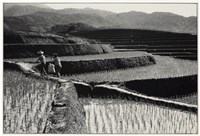 藏品(《歲月詩情》系列：〈農作〉)的圖片