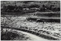 藏品(《歲月詩情》系列：〈農村即景〉)的圖片