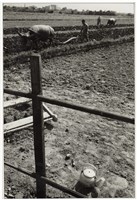 藏品(《歲月詩情》系列：〈農忙〉)的圖片