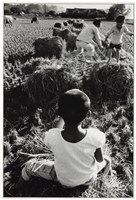 藏品(《歲月詩情》系列：〈快樂童年〉)的圖片