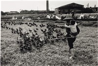 藏品(《歲月詩情》系列：〈趕鴨子〉)的圖片