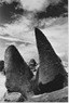 藏品(《臺灣東北角海域自然風貌》系列：〈岩之美-和平島〉)的圖片