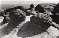 藏品(《臺灣東北角海域自然風貌》系列：〈岩之美-和平島〉)的圖片