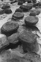 藏品(《臺灣東北角海域自然風貌》系列：〈岩之美-深澳(番仔澳)〉)的圖片