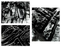 藏品(《臺灣東北角海域自然風貌》系列：〈岩之美-三連幅〉)的圖片