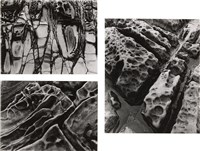 藏品(《臺灣東北角海域自然風貌》系列：〈岩之美-三連幅〉)的圖片