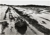 藏品(《臺灣東北角海域自然風貌》系列：〈岩之美-萊萊〉)的圖片