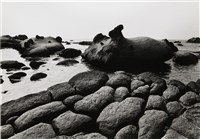 藏品(《臺灣東北角海域自然風貌》系列：〈岩之美-和平島〉)的圖片