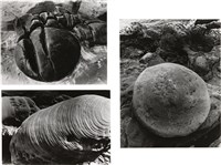 藏品(《臺灣東北角海域自然風貌》系列：〈岩之美-野柳三連幅〉)的圖片