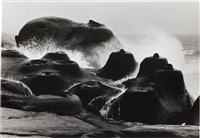 藏品(《臺灣東北角海域自然風貌》系列：〈浪之美-野柳〉)的圖片