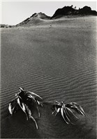 藏品(《臺灣東北角海域自然風貌》系列：〈沙之美-八里〉)的圖片