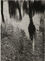 藏品(《輕呼吸》系列：〈奔跑 〉)的圖片