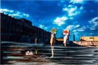 藏品(《再見，狐狸》系列— 116 )的圖片