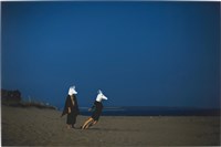 藏品(《再見，狐狸》系列— 143 )的圖片