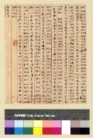 藏品(一九一三年(民國二年)各處來往電報)的圖片