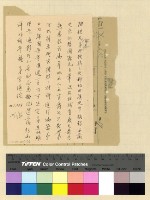 藏品(文化：擬撰現時之西藏)的圖片