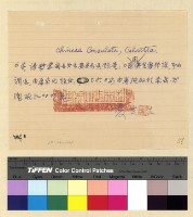 藏品(英國駐藏代表案)的圖片