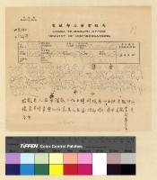 藏品(外情)的圖片