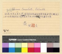 藏品(與保總領事來往文電案)的圖片