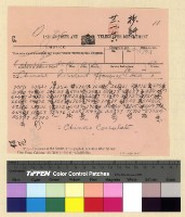 藏品(與保總領事來往文電案)的圖片