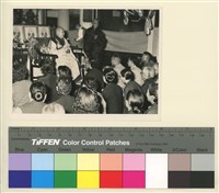 藏品(信眾皈依-台北善導寺)的圖片