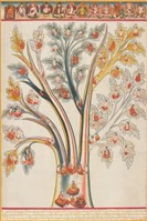 藏品(第三圖 疾病的診斷 - 《唐卡藝術》選集)的圖片