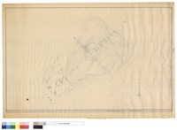 藏品(N/A)的圖片