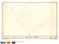 藏品(N/A)的圖片