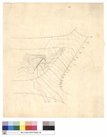 藏品(N/A)的圖片