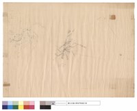 藏品(N/A)的圖片