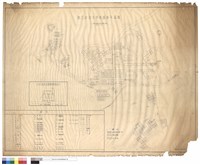 藏品(國立政治大學校園總平面圖)的圖片