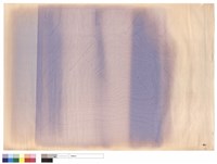 藏品(N/A)的圖片