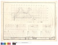 藏品(N/A)的圖片