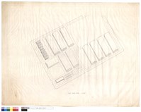 藏品(FREE TRADE ZOOM)的圖片