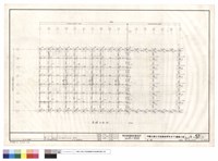 藏品(平面)的圖片