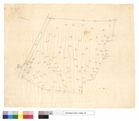 藏品(N/A)的圖片