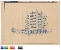 藏品(透視圖)的圖片